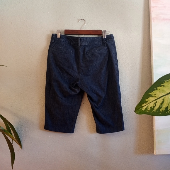 Banana Republic Hampton Fit Preppy Dark Wash Denim Flat Front Shorts - Picture 2 of 4